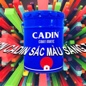 Sơn Cadin Chịu Nhiệt Độ Cao Giá Rẻ