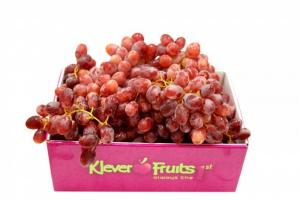 Chương trình khuyến mại Nho đỏ không hạt Úc