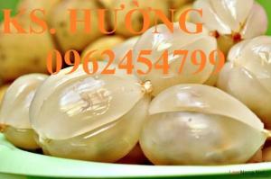 Chuyên cung cấp cây giống dâu da đất, cây bòn bon, giao cây toàn quốc