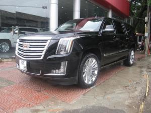 Xe Cadillac Escalade esv platium 2015 cũ bán