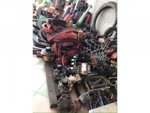 Cẩu unic củ mới nhập khẩu 100% japan đủ chủng loại