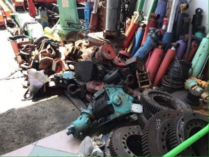 Cẩu unic củ mới nhập khẩu 100% japan đủ chủng loại
