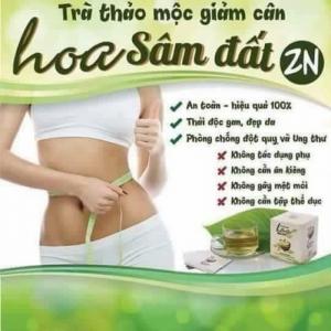 Trà Giảm cân - Hoa Sâm Đất