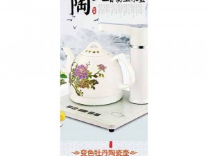 Bếp điện thông minh tích hợp vòi bơm