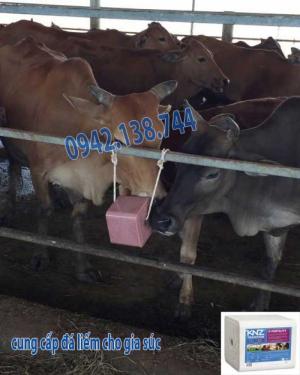 đá liếm cho bò dê, da liem, cung cấp đá liếm cho bò dê ngựa cừu, đại lý bán đá liếm cho gia súc