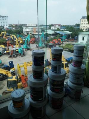 Sơn Siêu Bóng Tisco