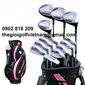 Bán bộ Gậy tập golf cho người mới chơi