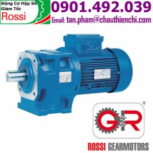 Hộp số Rossi MNHL25/2D11 A/28 i=2.77 Rossi Viet Nam