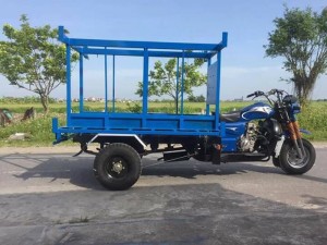 Xe ba bánh Fushida Nam Định