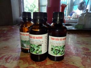 Tinh Dầu Gù Hương Long Nhi