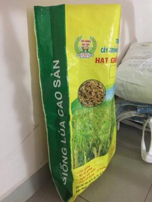 Bao PP đựng lúa giống