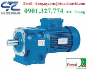 Động cơ bánh răng Rossi | Rossi gear motor