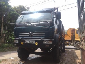 Ban cửu Long 8tan doi 2011