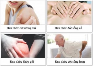 Dược Phẩm Hỗ Trợ Trị Xương Khớp