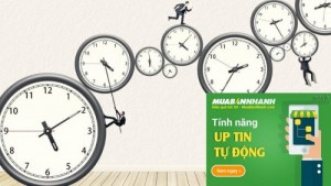 Giờ vàng Up tin tự động nhiều người xem