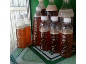 Các loại ngũ cốc hồng hoa