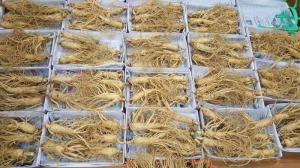 Nhân sâm tươi Hàn Quốc 4 củ/Kg