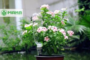Sản phẩm đầu tưới nhỏ giọt Claber 8052 (www.maka.vn)
http://maka.vn/products/dau-tuoi-nho-giot-claber-8052