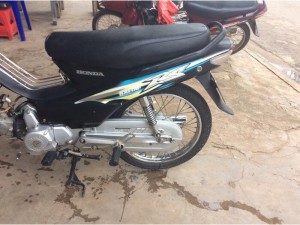 Halim50