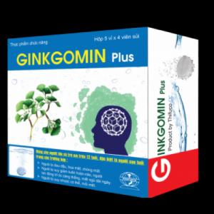 Ginkgomin plus - Giúp hoạt huyết, an thần