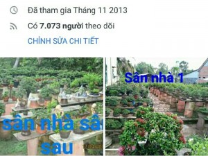 Mai Lá Trung Nguyên Liệu