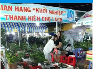 Mai Lá Trung Nguyên Liệu