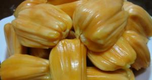 cây giống mít thái siêu sớm