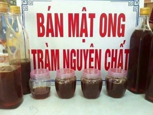 Mật ong rừng tràm loại tốt từ Tây Nguyên