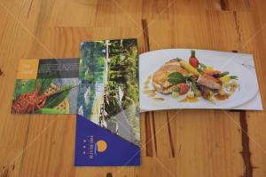 Thiết kế brochure