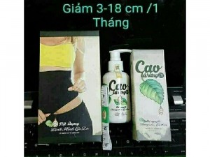 Giảm mập - Cao Lá Rừng