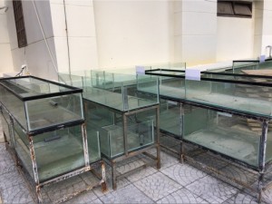 Bán hệ thống bể cá nhà hàng