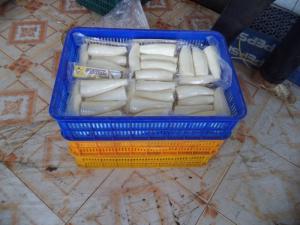Khoai mỳ đông lạnh
