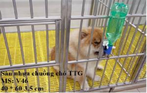 Tấm Lót Sàn Nhựa Cao Cấp