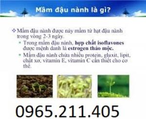 Bán mầm đậu nành nguyên chất tại quận 1