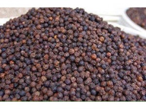Tinh Bột nghệ, mật ong, tiêu