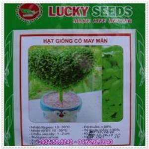 Sỉ lẻ hạt giống hoa