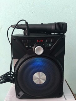 Loa Karaoke - Loa bluetooth P 86,87,88,89 tặng kèm mic