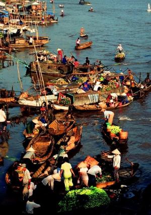 Vung Tau-Voucher Tour Du lịch sinh thái miền tây 2N1D
