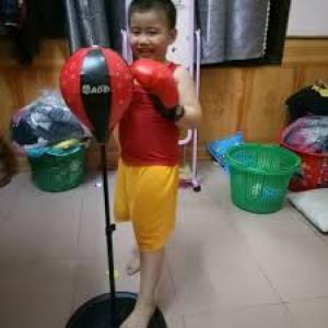 Boxing cho bé