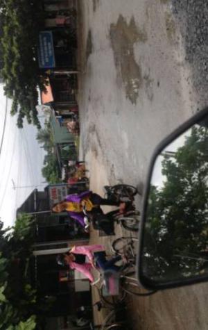 Đất bán hoặc cho thuê
