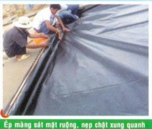Màng lót ao tôm, màng chống thấm HDPE