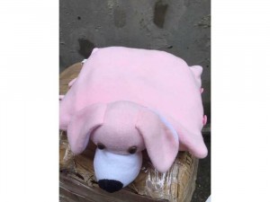 Gấu bông đa năng