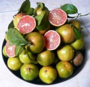 Chanh đào ngâm mật ong