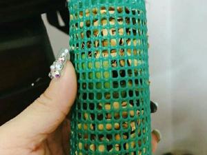 Ống sả thơm đuổi muỗi thái