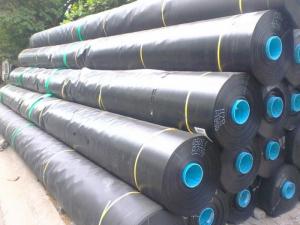 Bạt HDPE - Nuôi Tôm, Nuôi Cá Bạt HDPE - Nuôi Tôm, Nuôi Cá