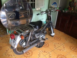 Honda cup 81