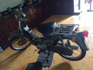 Honda cup 81
