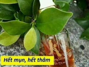 Sezum
