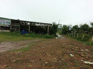 Bán đất Gia Lai