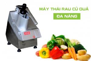 Máy thái rau củ quả đa năng
